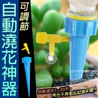 可調節自動澆花神器(10入/一組