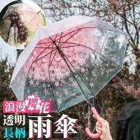浪漫櫻花透明長柄雨傘-隨機