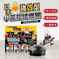 日本強效型小黑帽蟑螂屋 一盒