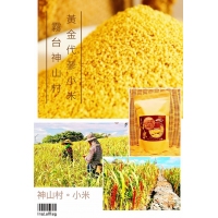 霧台神山村-巴魯那-原民金黃代蔘小米/250g