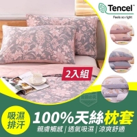 吸濕排汗100%天絲枕套(2入組)/一對