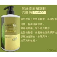專業沙龍等級的品牌Eiwei 醫微爾 葉綠素深層調理洗髮精1000ml