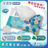 台灣製 芊姿堂濕式衛生紙40抽/包